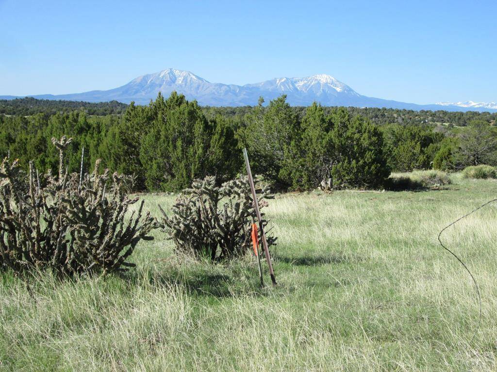 Walsenburg, CO 81089,Lot 605 Rio Cucharas