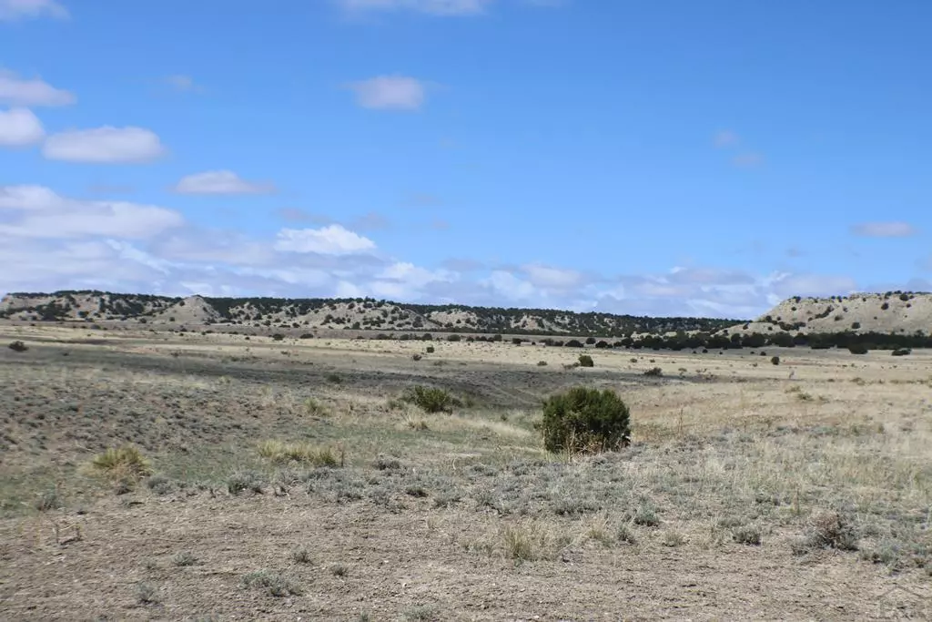 Rye, CO 81069,TBD Locomotive Ct