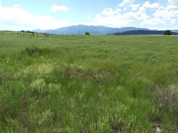 TBD Antero Dr, Colorado City, CO 81019