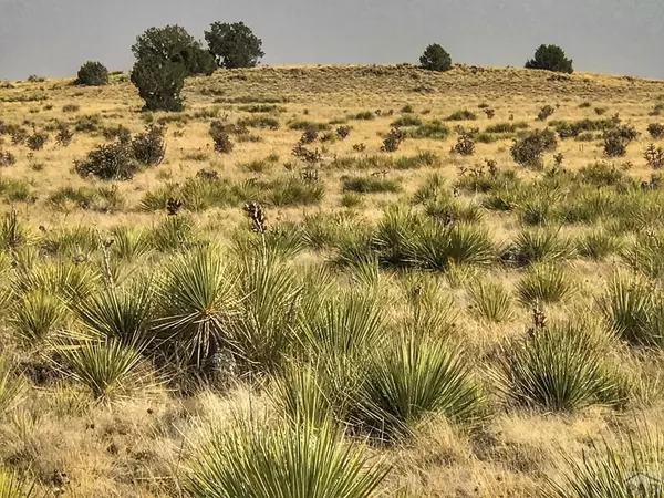 Walsenburg, CO 81089,Lot 243 Turkey Ridge Ranch