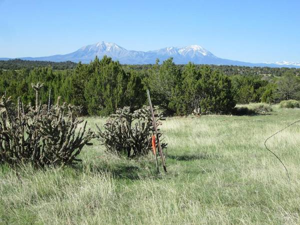 Lot 605 Rio Cucharas, Walsenburg, CO 81089