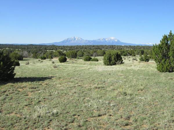 Walsenburg, CO 81089,Lot 605 Rio Cucharas