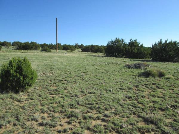 Walsenburg, CO 81089,Lot 605 Rio Cucharas