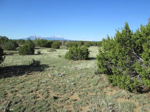 Walsenburg, CO 81089,Lot 605 Rio Cucharas