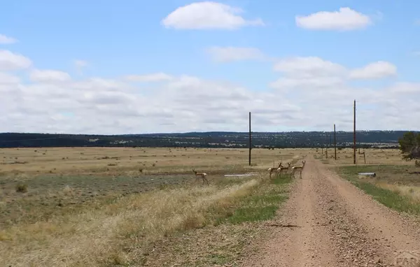 Rye, CO 81069,TBD Locomotive Ct