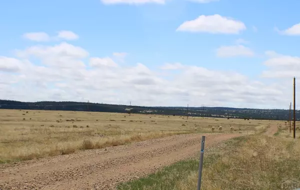 Rye, CO 81069,TBD Locomotive Ct