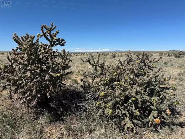 Model, CO 81059,TBD County Rd 93.9