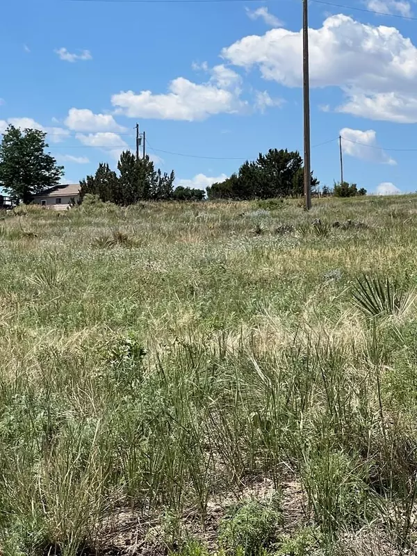 Colorado City, CO 81019,Lot 388 Arapahoe Dr