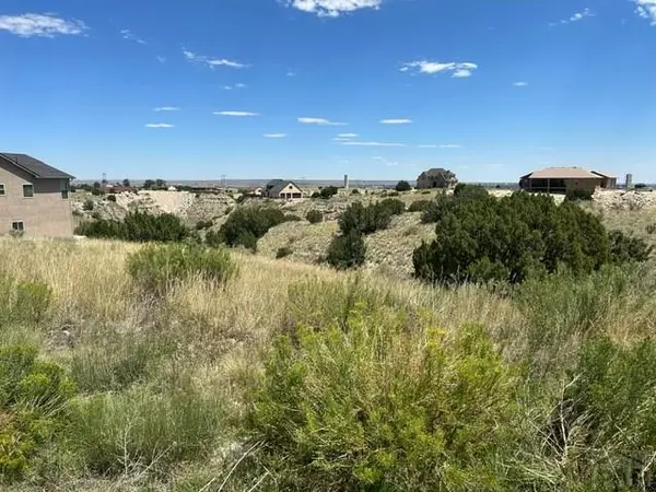 Pueblo West, CO 81007,1270 S Skyline Ct