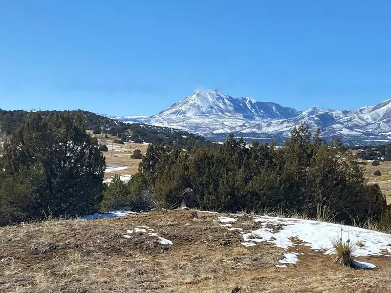 Lot 25 Comanche Dr, Walsenburg, CO 81089