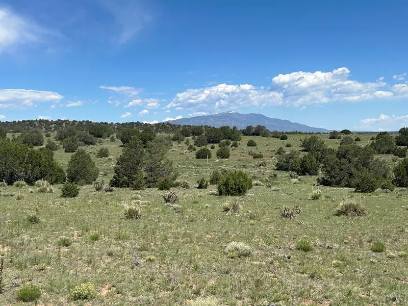 lot 19 Rio Cucharas, Walsenburg, CO 81089