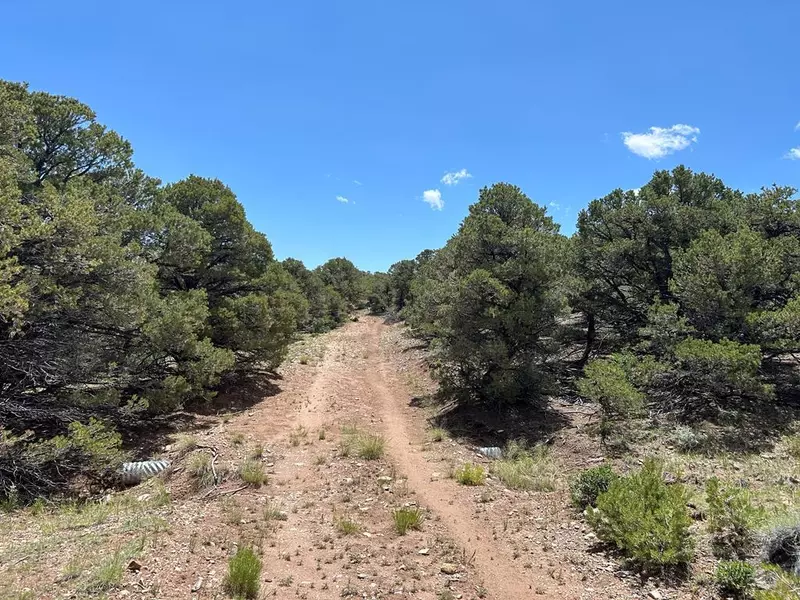 Lot 217 Colorado Land and Grazing, Gardner, CO 81040