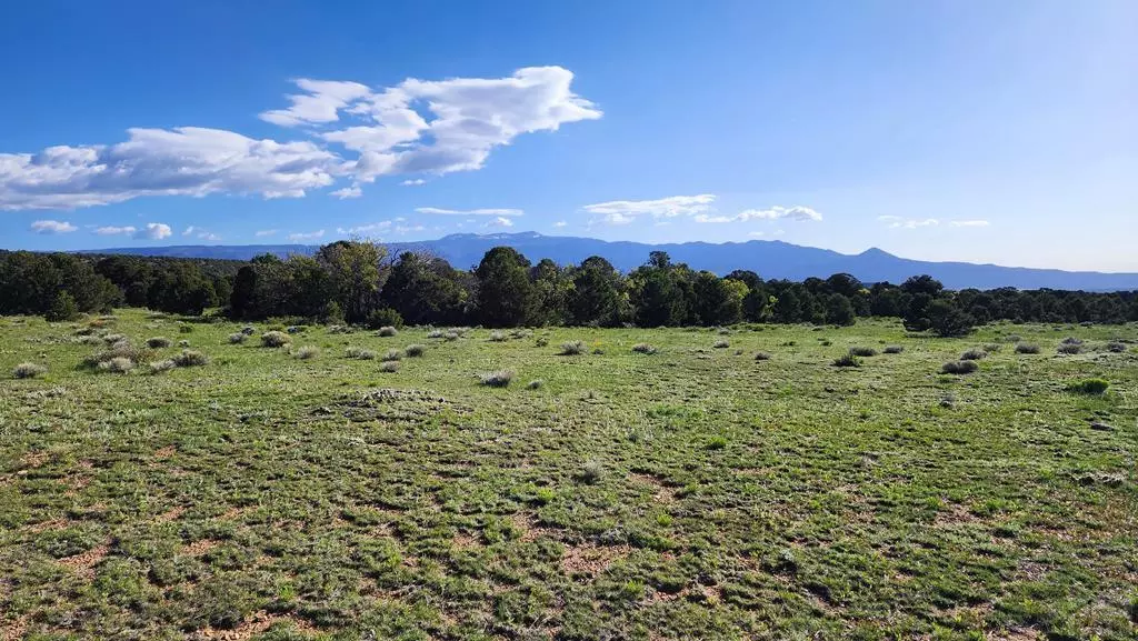 60 Colorado Land and Grazing, Gardner, CO 81040