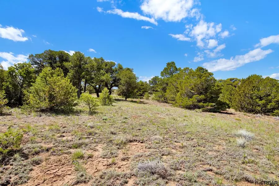 TBD Comanche Drive, Walsenburg, CO 81089