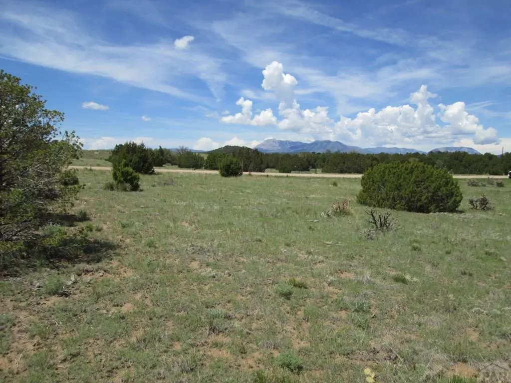 Walsenburg, CO 81089,Lot 293 Rio Cucharas