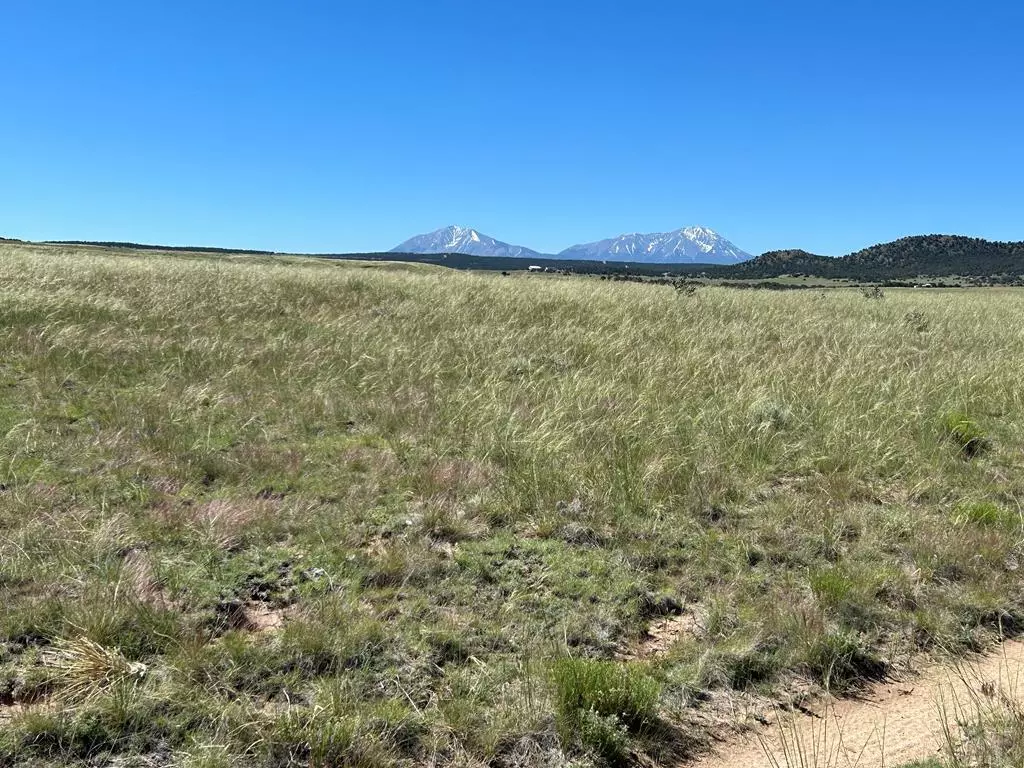 Walsenburg, CO 81089,Lot 284 Black Hills