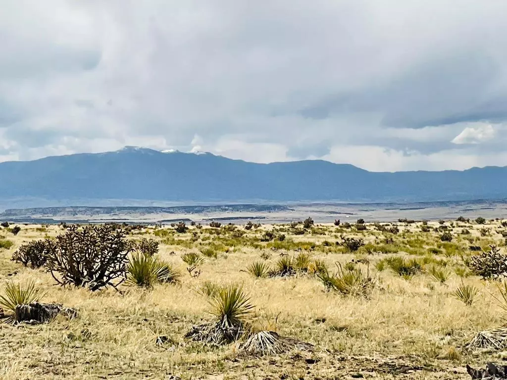 Walsenburg, CO 81089,Lot 239 Turkey Ridge Ranch