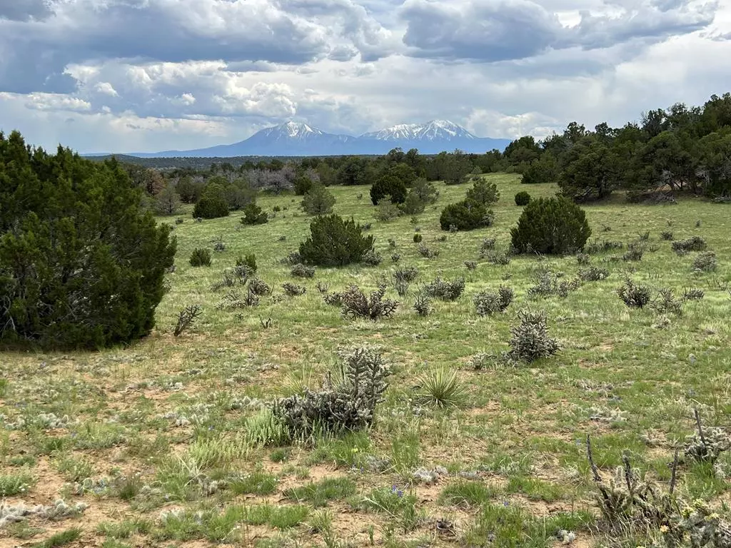 Walsenburg, CO 81089,TBD County Rd 521.3