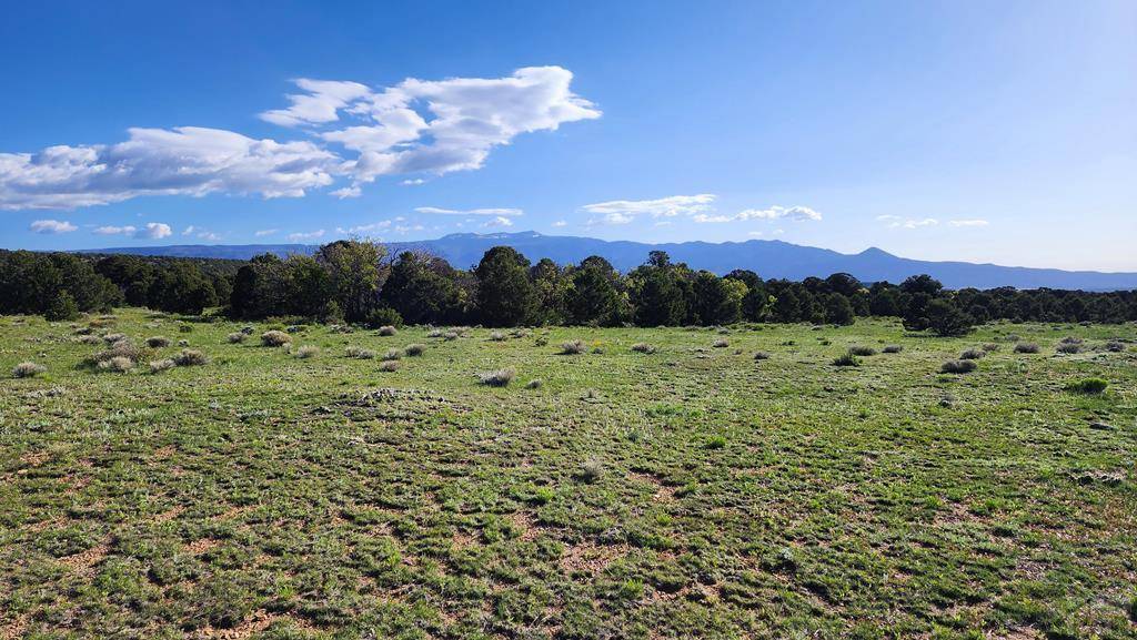 Gardner, CO 81040,60 Colorado Land and Grazing