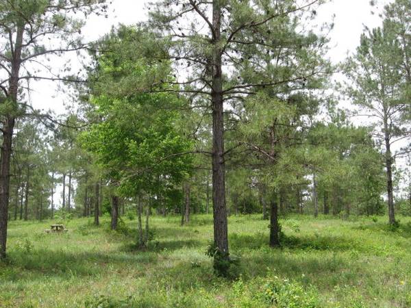 Lot 32 Mountain View Way, Bainbridge, GA 39819