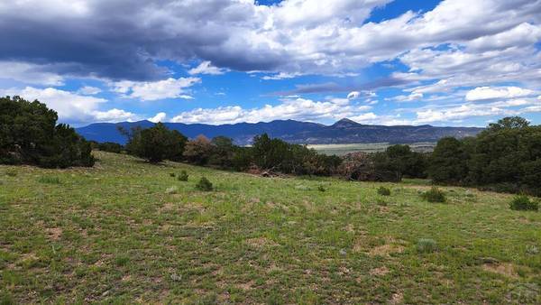 Lots 1, 2 Colorado Land and Grazing, Gardner, CO 81040