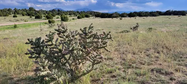 Walsenburg, CO 81089,Lot 47 County Rd 504