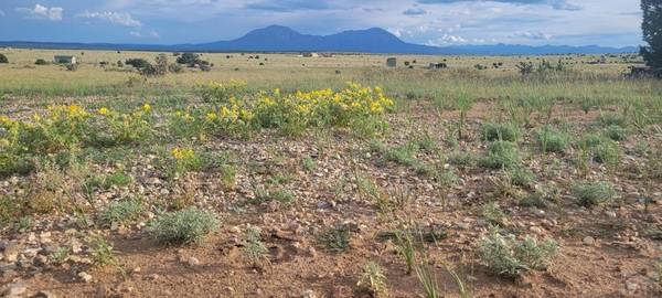 Walsenburg, CO 81089,Lot 162 Rio Cucharas