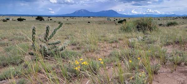 Walsenburg, CO 81089,Lot 162 Rio Cucharas