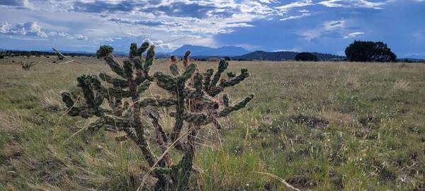 Walsenburg, CO 81089,Lot 162 Rio Cucharas