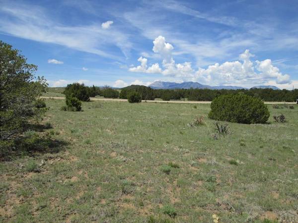 Lot 293 Rio Cucharas, Walsenburg, CO 81089