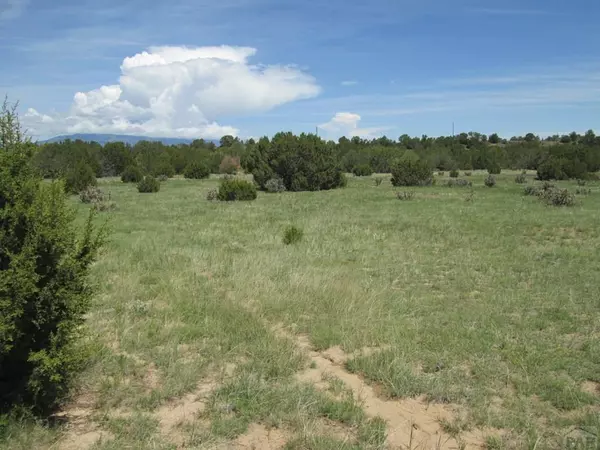 Walsenburg, CO 81089,Lot 293 Rio Cucharas