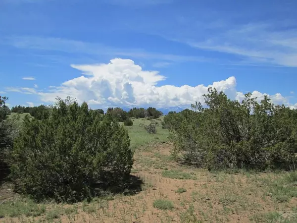 Walsenburg, CO 81089,Lot 293 Rio Cucharas