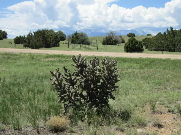 Walsenburg, CO 81089,Lot 293 Rio Cucharas