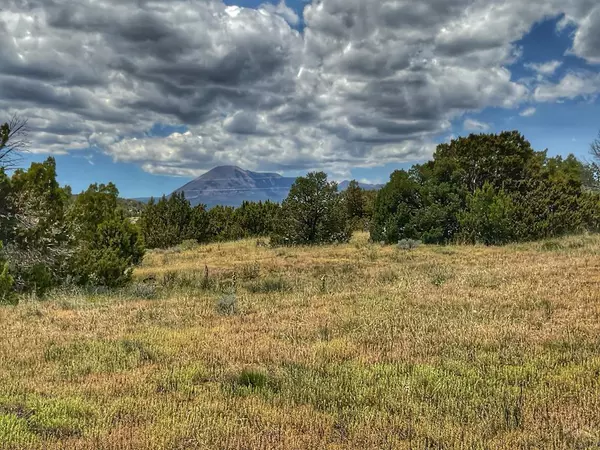 Walsenburg, CO 81089,Lot 25 Comanche Dr