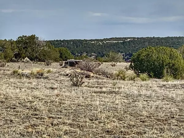 Walsenburg, CO 81089,Lot 80 Turkey Ridge Ranch