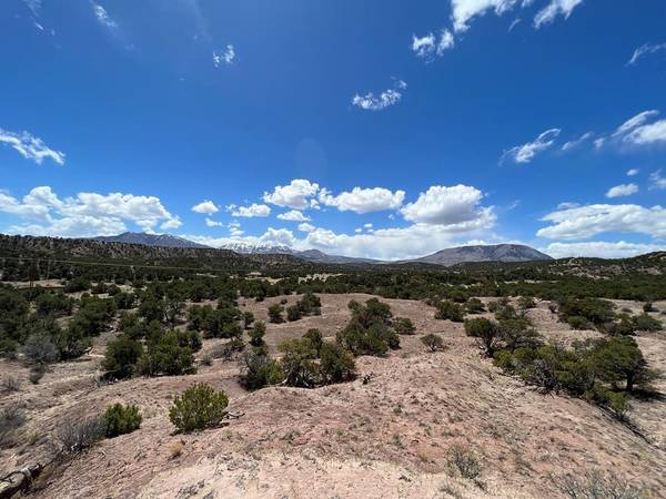 25 Colorado Land and Grazing, Gardner, CO 81040