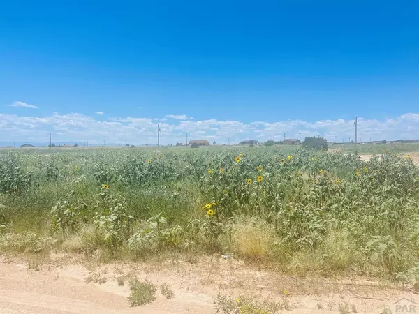 Pueblo West, CO 81007,1629 N Calle Rosa Dr