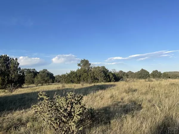 Walsenburg, CO 81089,TBD Black Diamond Park