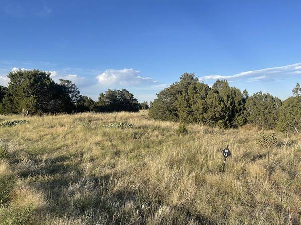 L10 B7 Orlando's Way, Walsenburg, CO 81089