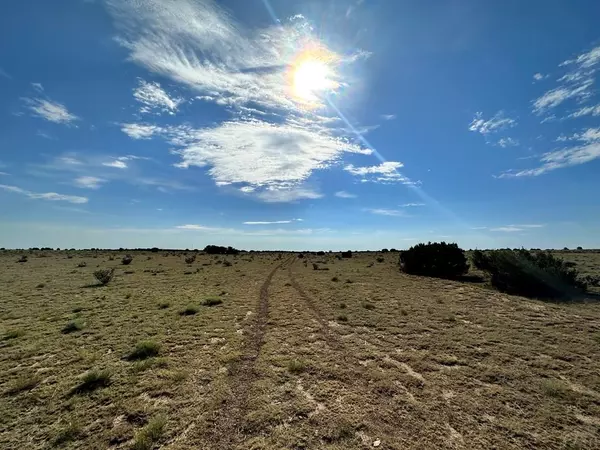 Walsenburg, CO 81089,Lot 4 Tioga Ranch