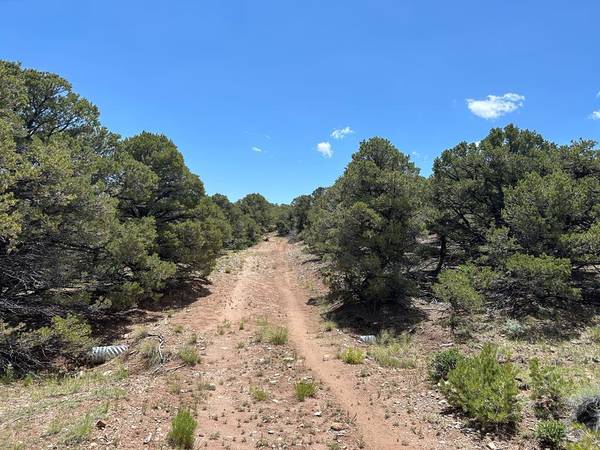 Lot 217 Colorado Land and Grazing, Gardner, CO 81040