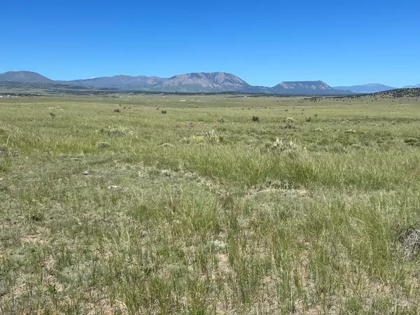 Walsenburg, CO 81089,Lot 284 Black Hills