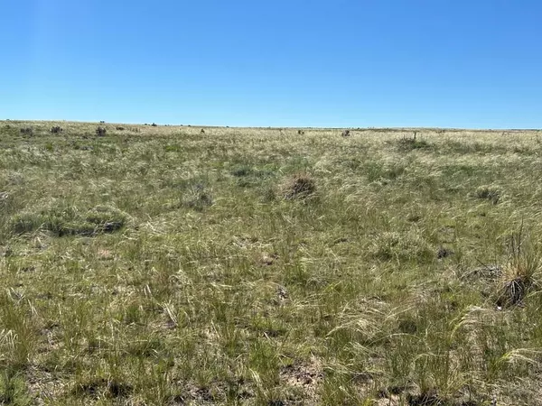 Walsenburg, CO 81089,Lot 284 Black Hills