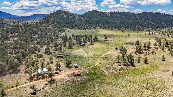 Westcliffe, CO 81252,9091 County Rd 271