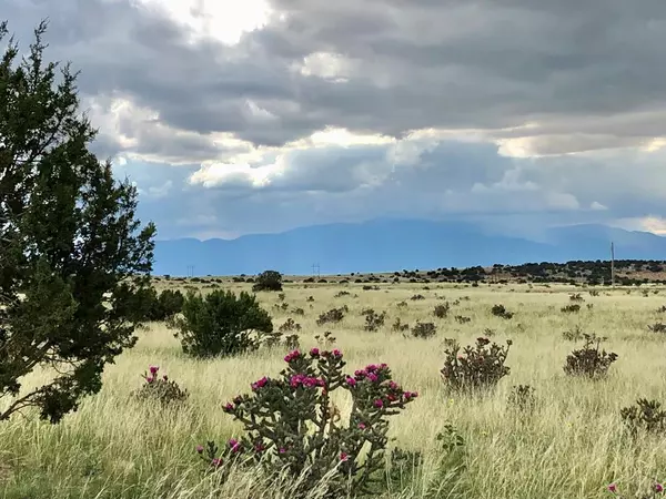 136 Turkey Ridge Ranch, Walsenburg, CO 81089