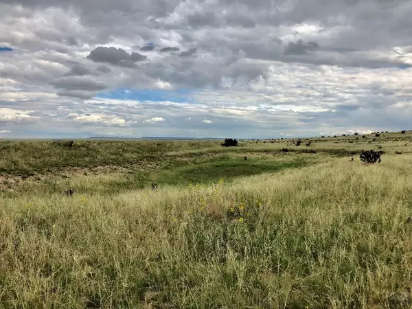 Walsenburg, CO 81089,136 Turkey Ridge Ranch