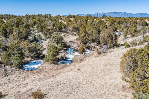 Rye, CO 81089,LOT 102 Ghost River Ranch