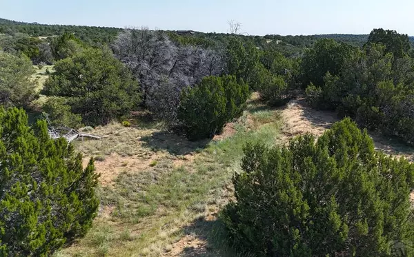 Walsenburg, CO 81089,Lot 15 Rocky Mountain Dr