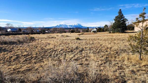 TBD No Site Address, Walsenburg, CO 81089