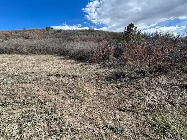 Colorado City, CO 81019,Lot 216 Stoelinga Dr